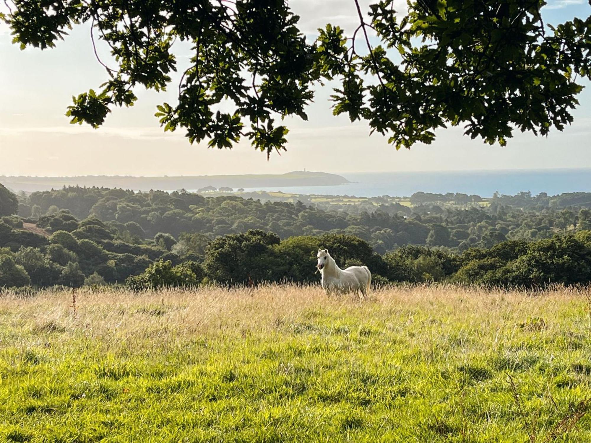 Fully Furnished Bell Tent 3 Carlyon Bay Exteriér fotografie